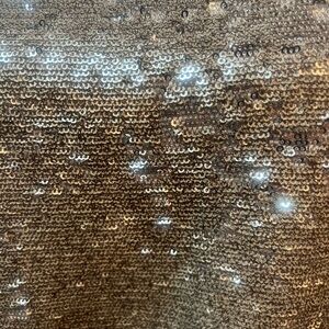 Rachel Zoe champagne color sequins top with elastic waist size 6 - worn once